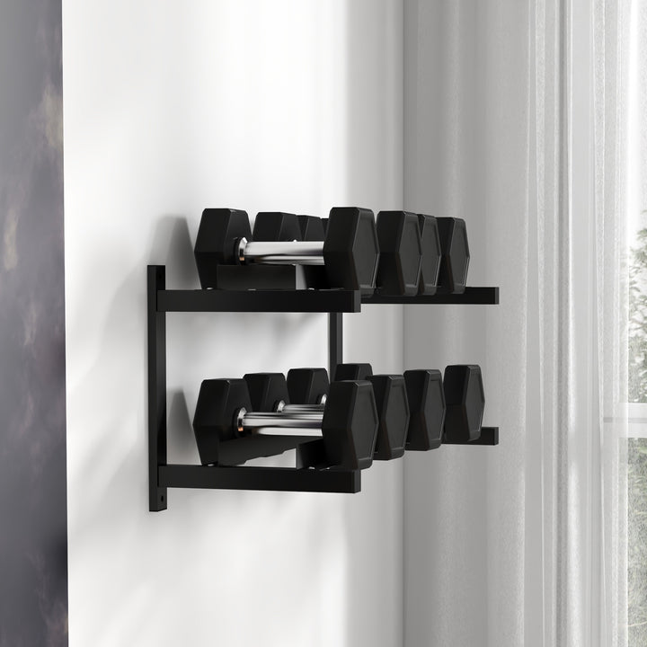Wall-Mounted Dumbbell Rack, 2-Tier Weight Stand, Space-Saving and Multi-Functional Steel organiser for Home Gym