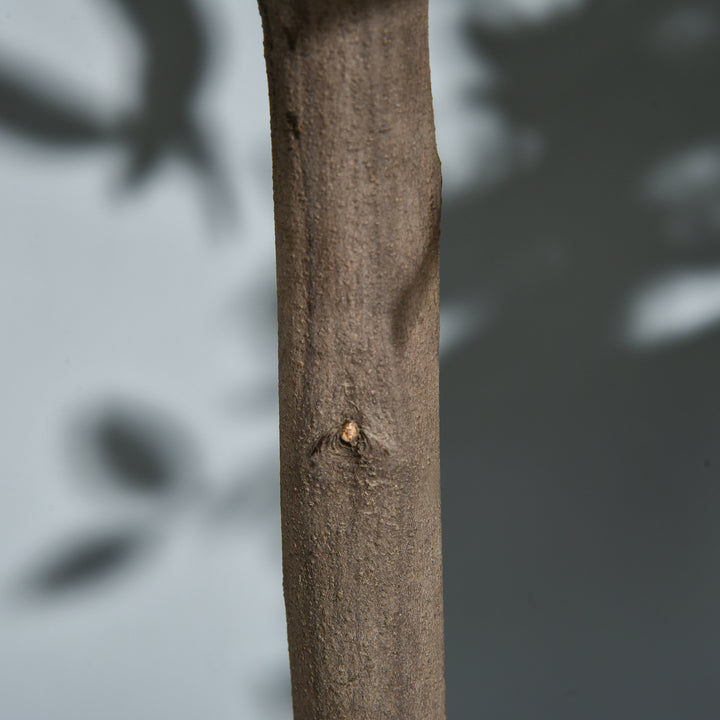 MCL Artificial Bay Laurel Topiary Trees w/ Pot Fake, Set Of 2 90cm/3FT Indoor Greenery Plant Home Office Garden Decor Green