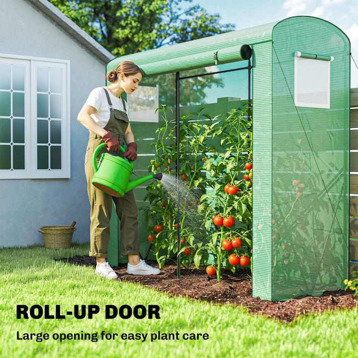 Mini Greenhouse, Garden Tomato Growhouse with Roll-Up Door and 2 Mesh 
