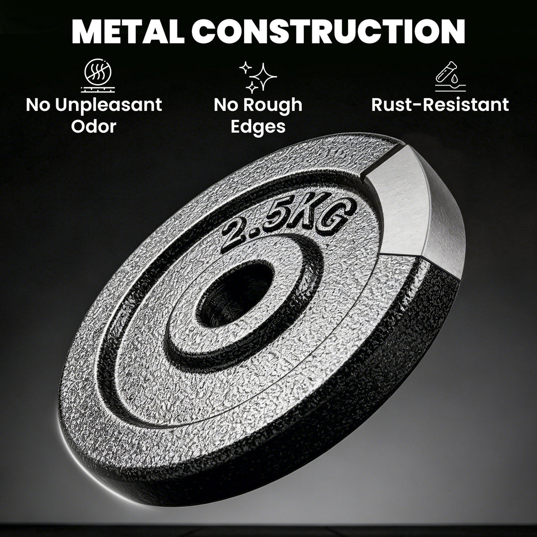 Weight Plates Set, 1"/2.5cm Weight Disc Pair, 4 x 2.5kg Metal Dumbbell