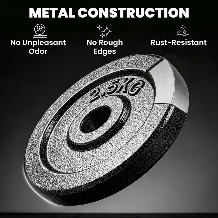 Weight Plates Set, 1"/2.5cm Weight Disc Pair, 4 x 2.5kg Metal Dumbbell