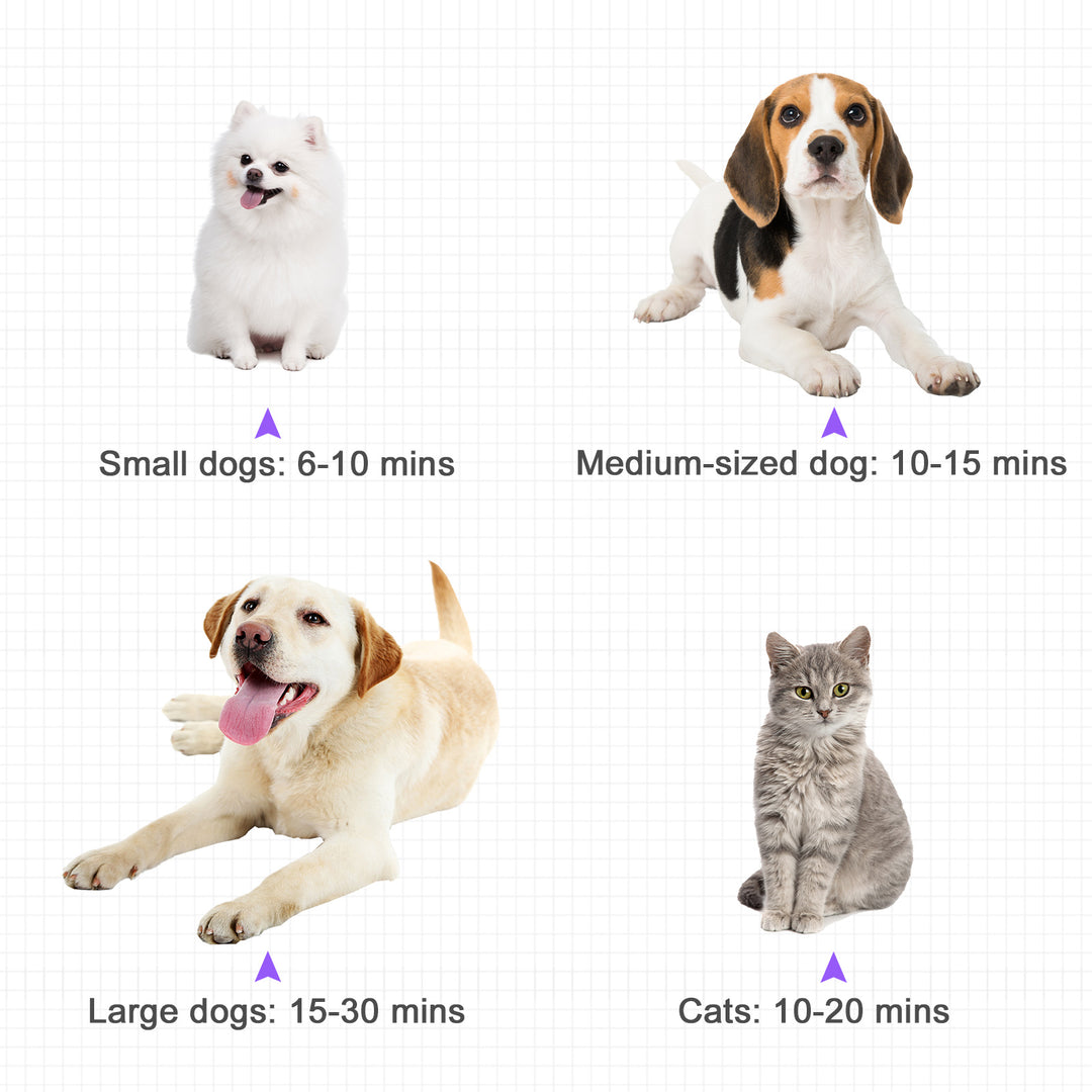 MCL Dog Hair Dryer Pet Grooming Blaster Dryer Blower Adjustable Temperature Speed with 2.1M Flexible Hose 3 Nozzles - Purple