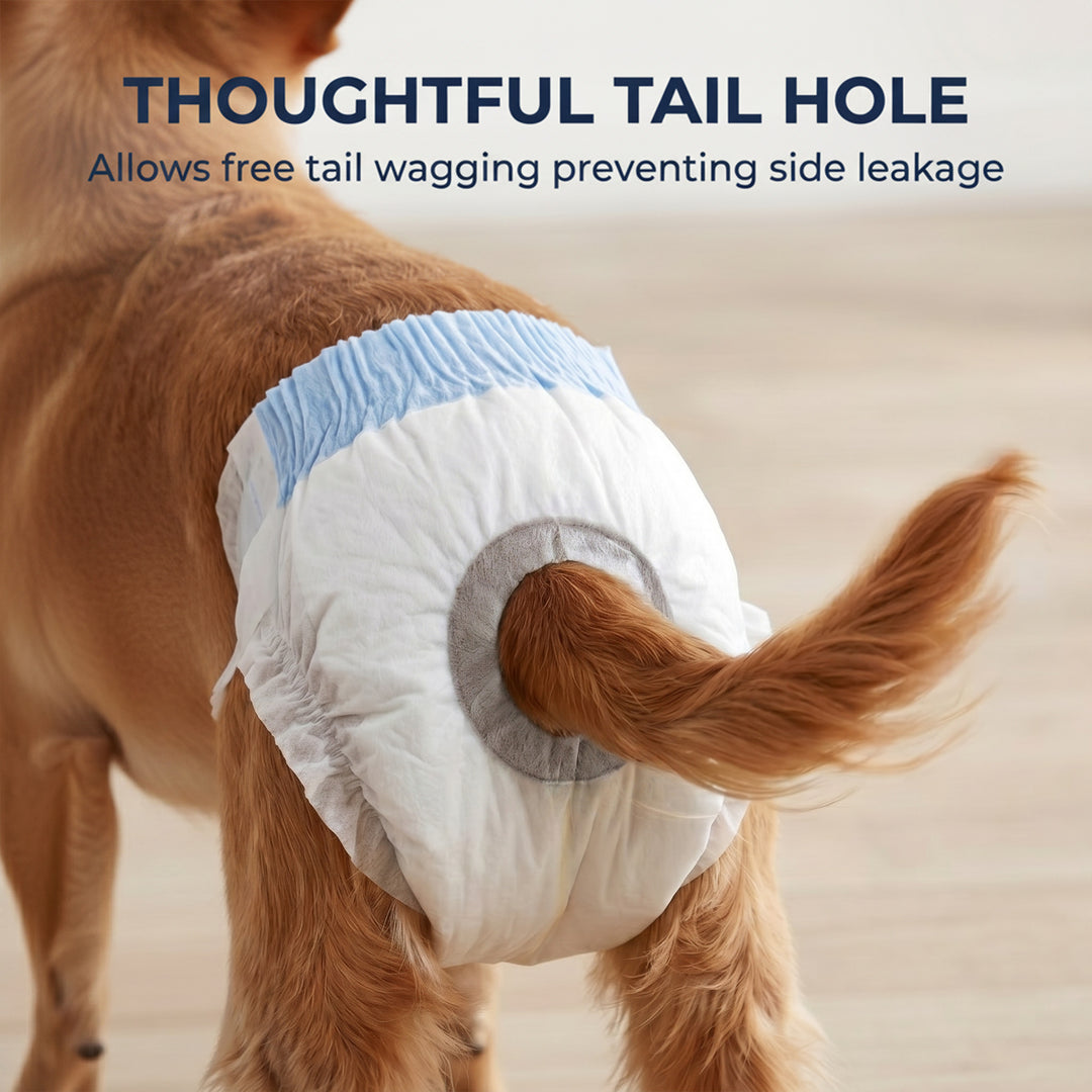 Disposable Dog Diapers Female Incontinence or Excitable Urination and 