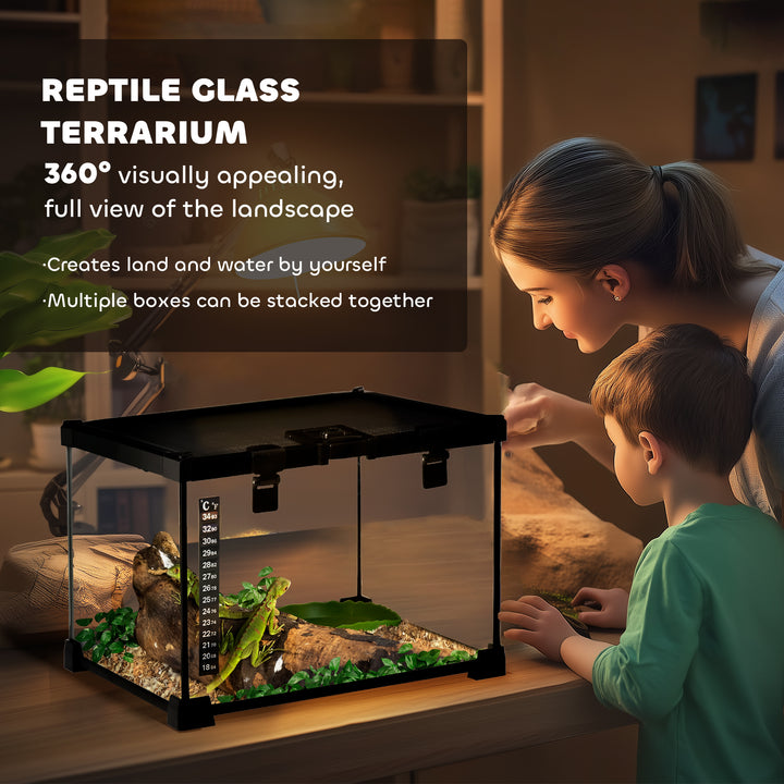 MCL Glass Reptile Terrarium Insect Breeding Tank Vivarium Habitats with Thermometer for Lizards, Horned Frogs, Snakes, Spiders - Small 30 x 30 x 20cm