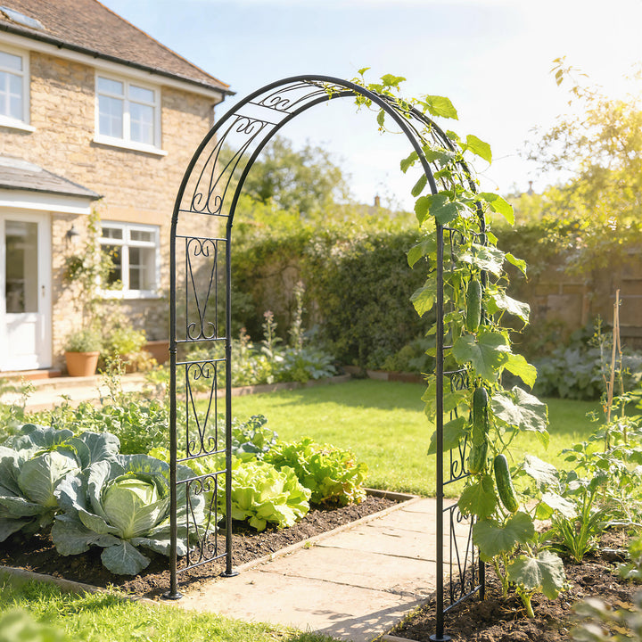 Garden Arch, Arbour Trellis for Climbing Plants, Rose Arch for Wedding