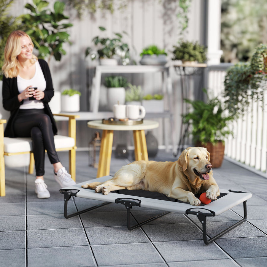 Portable Raised Dog Bed, Elevated Pet Cot with Breathable Mesh for Indoor Outdoor, for Large Dogs, Light Grey