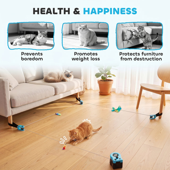 Interactive Cat Toy for Indoor Kittens &amp; Adult with Adjustable Speed, 