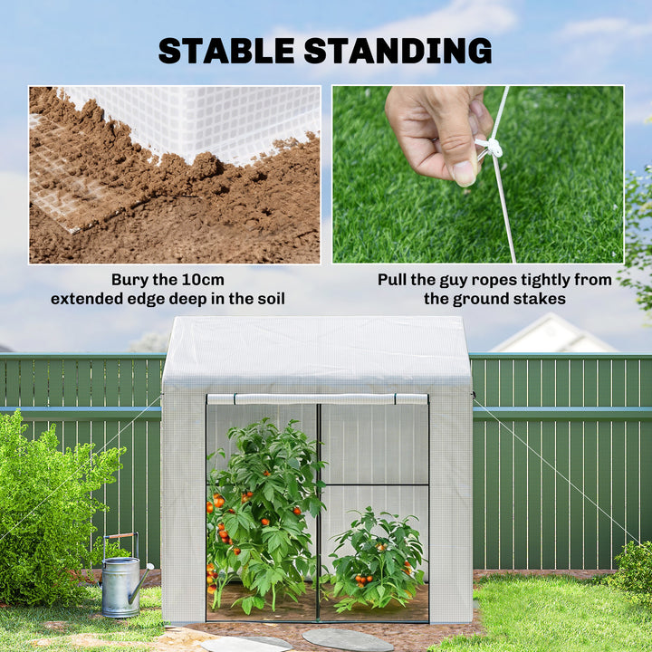 Walk-in Greenhouse, Outdoor Tomato Greenhouse with Roll-up Door and Me
