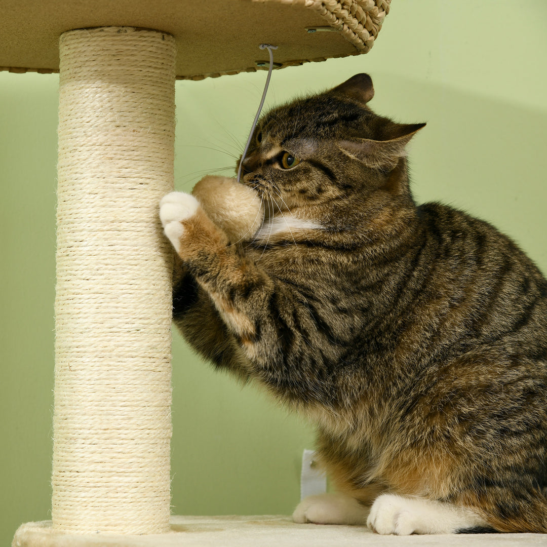 Cat Tree Activity Centre, with Cattail, Bed, Cat House, Sisal Post, Ball - Natural Tone