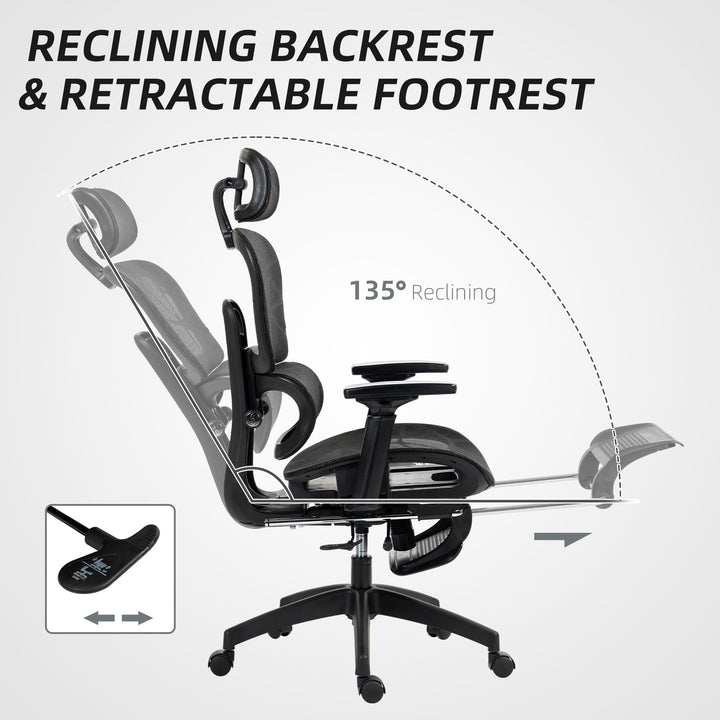 Multi-Adjustable Mesh Office Chair - Black
