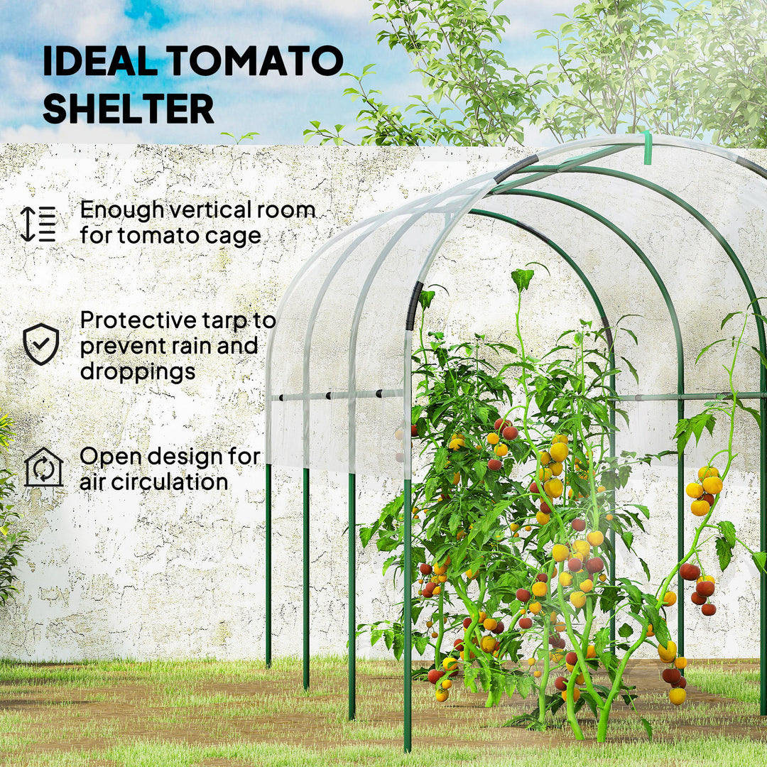 Tunnel Tomato Greenhouse with 4 Hoops and Top Tap, Pointed Bottom and Guy Ropes, 400 x 123 x 171 cm, Clear