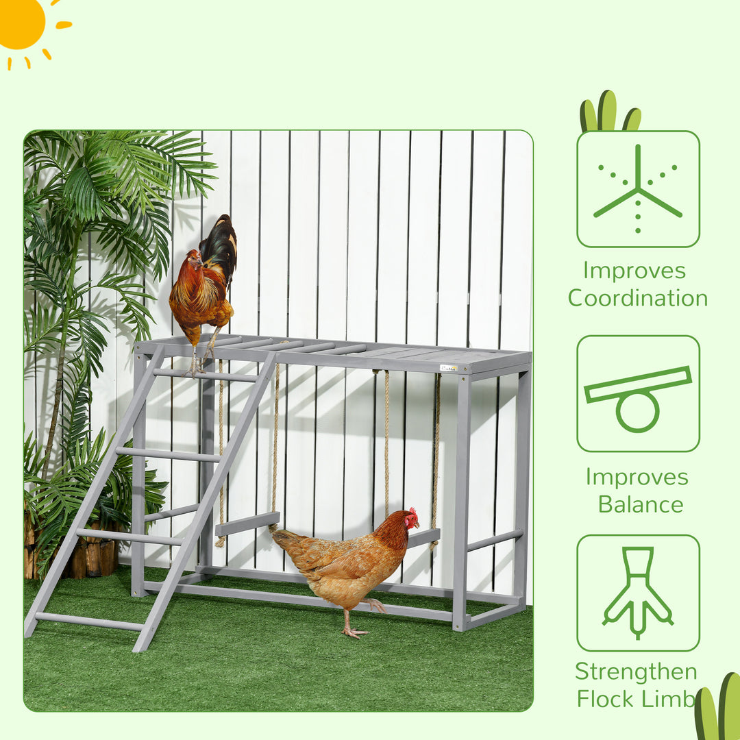Chicken Activity Play with Swing Set for 3-4 Chickens, Wooden Chicken Coop, Grey
