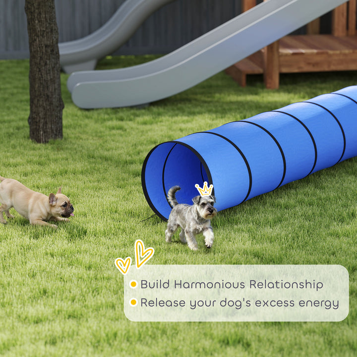 Dog Tunnel, 300 x 50 cm, Foldable Play Tunnel with 4 Pegs and Bag, Tea