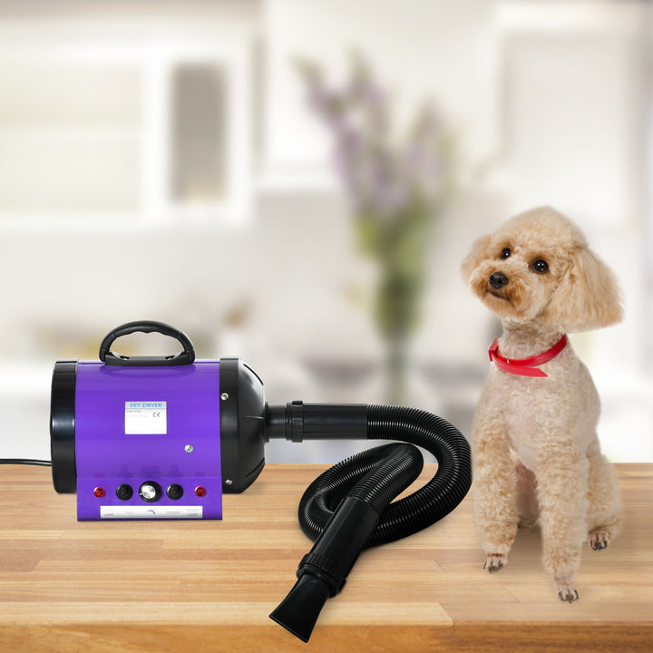 PawHut 2800W Dog Hair Dryer Pet Grooming Blaster Water Blower Dryer w/ 3 Nozzles, Purple | Aosom UK