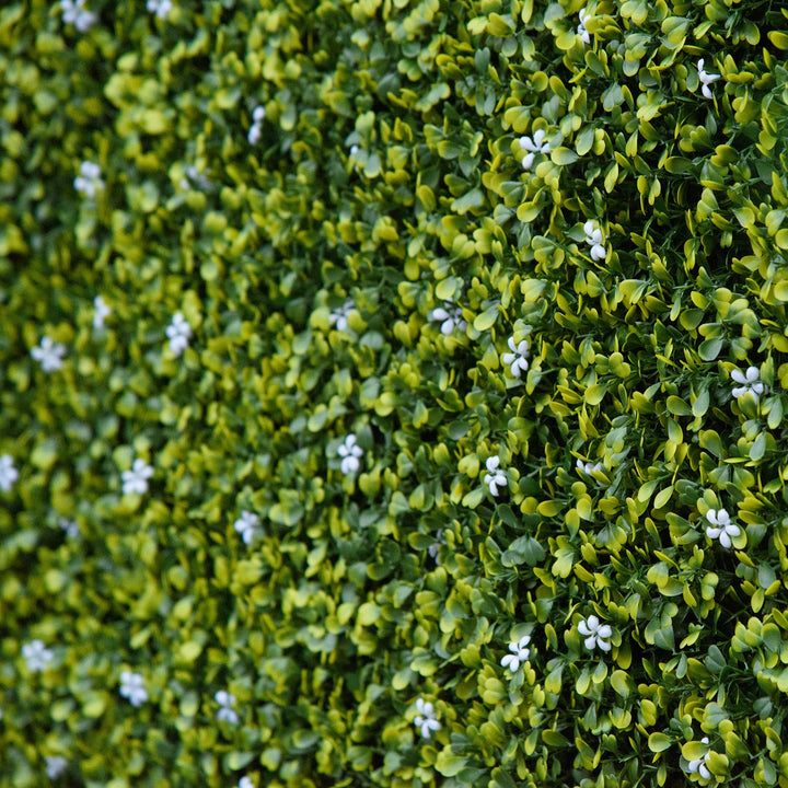 12PCS Artificial Boxwood Wall Panels 50cm x 50cm Grass Privacy Fence Screen Faux Hedge Greenery Backdrop Encrypted Milan Grass with White Flowers for Home Garden Backyard Balcony