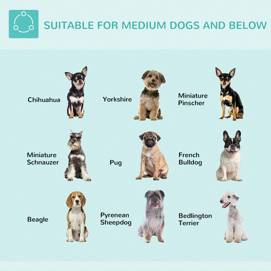 MCL Adjustable Pet Grooming Arm, with Clamp, Haunch Holders & Grooming Loop - Sliver-Tone