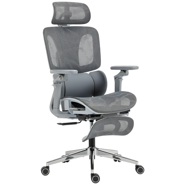 Ergonomic Office Chair, High Back Mesh Desk Chair