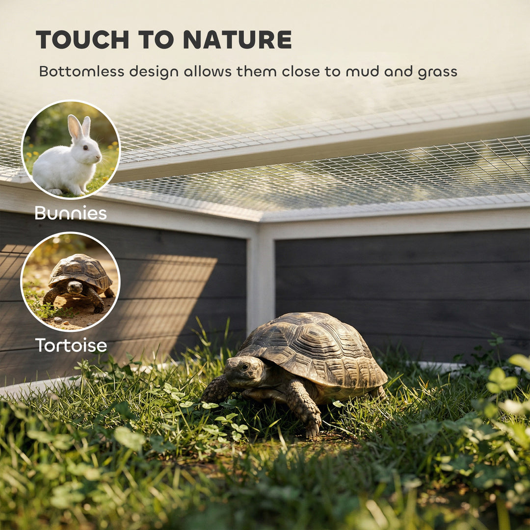 Wooden Tortoise House, Tortoise Enclosure with Clear Observation - view 5