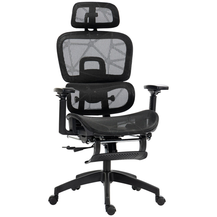 Multi-Adjustable Mesh Office Chair - Black