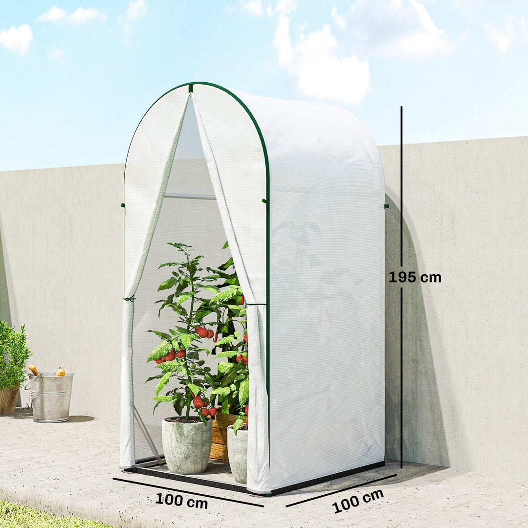 Mini Greenhouse, Portable Green House with Roll-Up Door, PE Base, Small Greenhouse, 100 x 100 x 195 cm