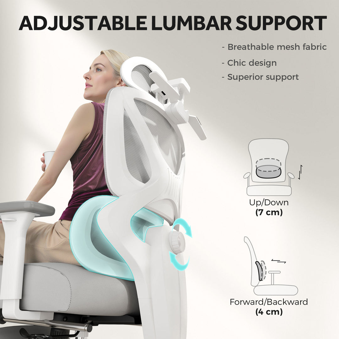 Ergonomic and Adjustable Office Chair - Grey