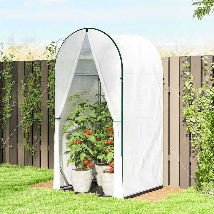 Mini Greenhouse, Portable Green House with Roll-Up Door, PE Base, Small Greenhouse, 100 x 100 x 195 cm