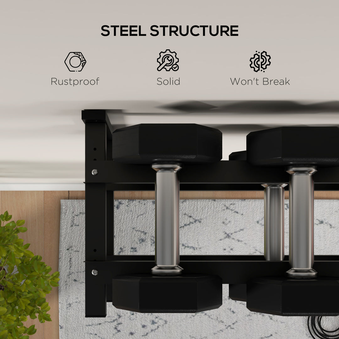 Wall-Mounted Dumbbell Rack, 2-Tier Weight Stand, Space-Saving and Multi-Functional Steel organiser for Home Gym