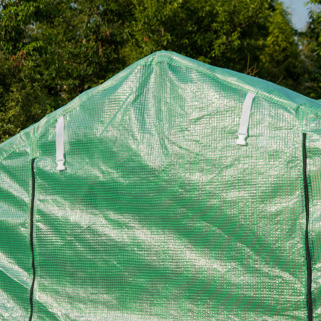 Polytunnel Greenhouse with Windows and Door, Walk in Greenhouse for Garden, Backyard (4 x 2 M)