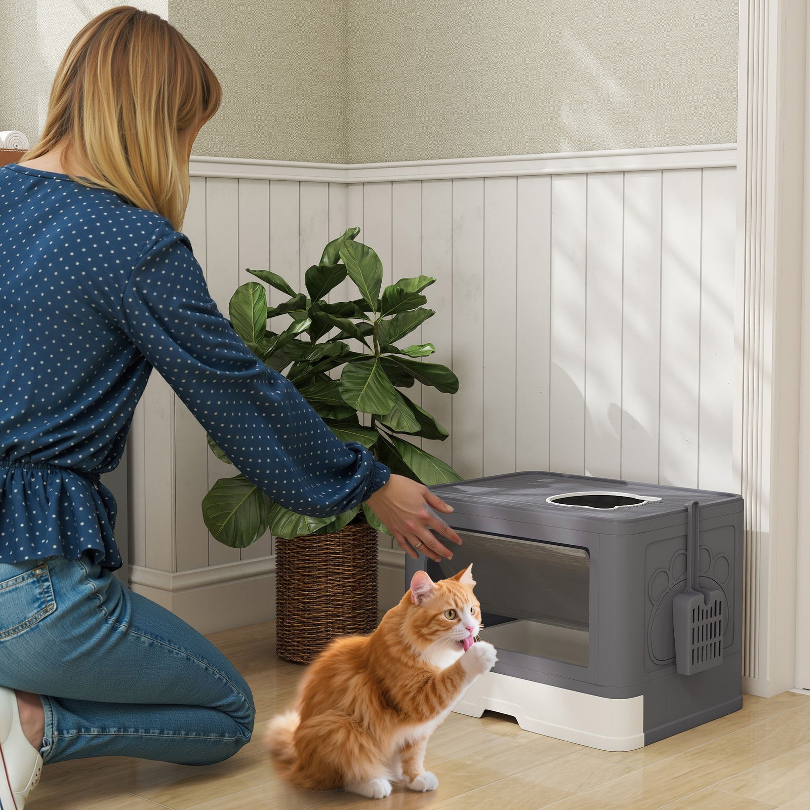 Enclosed Cat Litter Box with lid, Front Entry, Top Exit, Drawer, Tray, Scoop, Brush, 48.5 x 38 x 36.5cm - Grey