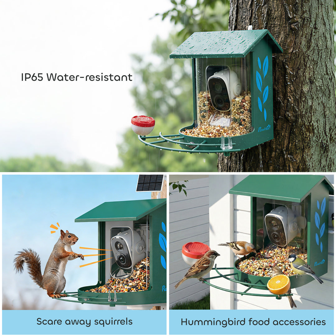 Smart Bird Feeder Camera 2K HD with AI Identifies 16,000+ Species, 2K HD Auto Capture Video, APP Instant Notifications
