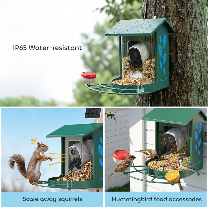 Smart Bird Feeder Camera 2K HD with AI Identifies 16,000+ Species, 2K HD Auto Capture Video, APP Instant Notifications