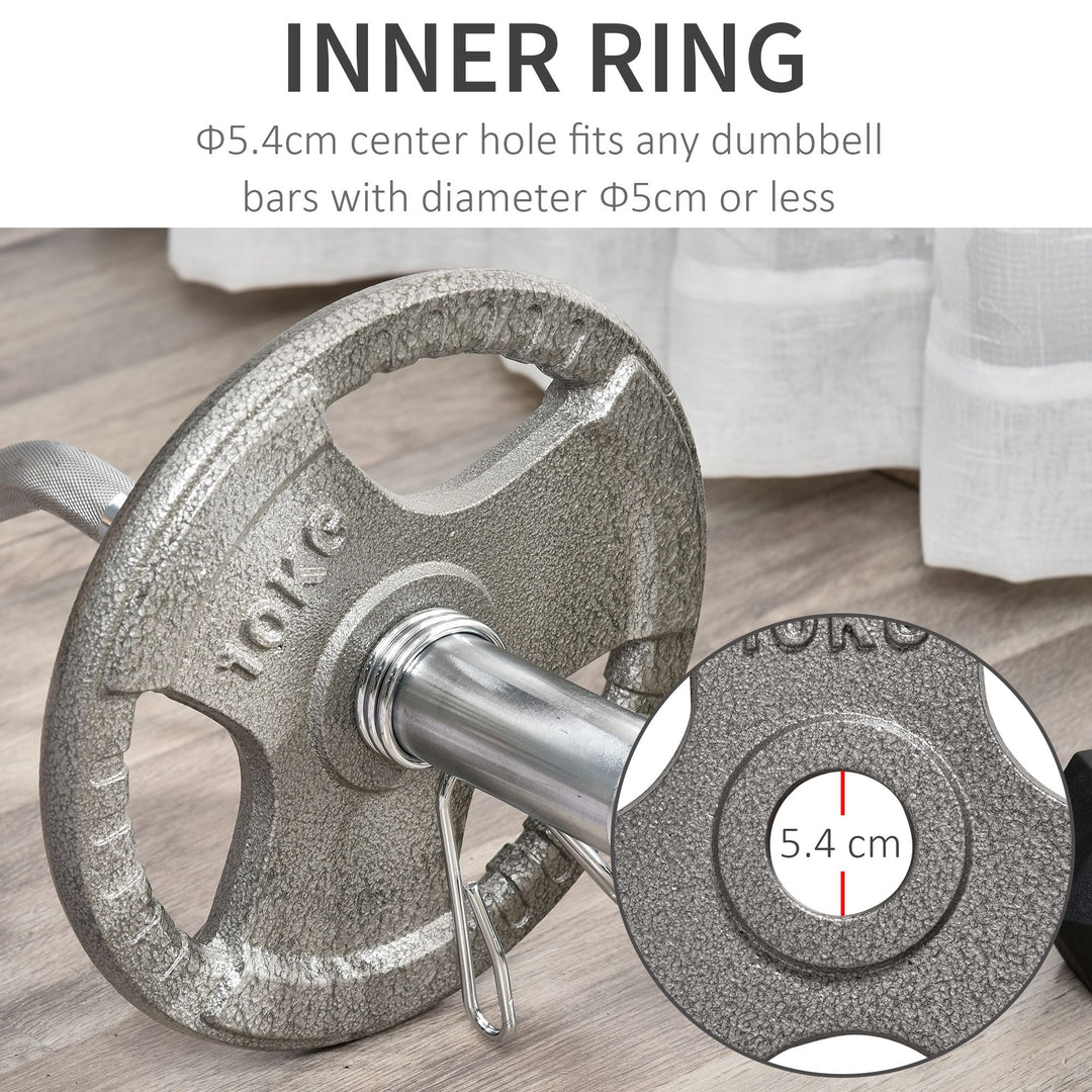 Set of 2 Cast Iron Weight Plates for 2"/5cm Hole Dumbbell Handle Bar, Barbell Weight 2 x 10kg