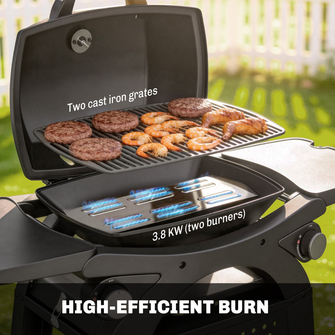 2 Burner Gas Grill with 2 Side Tables, 3.8 KW Barbecue Grill with Cast