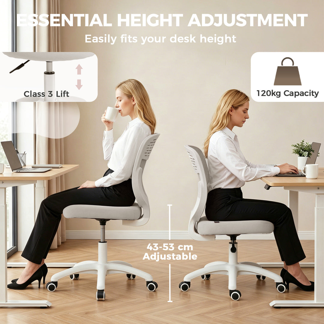 Office Chair, Armless Computer Desk Chair with Breathable Mesh, Adjust