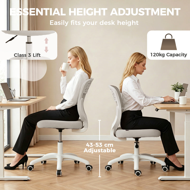 Office Chair, Armless Computer Desk Chair with Breathable Mesh, Adjust