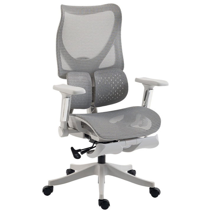 Ergonomic Office Chair with Lumbar Support, Mesh Reclining Desk Chair - Grey