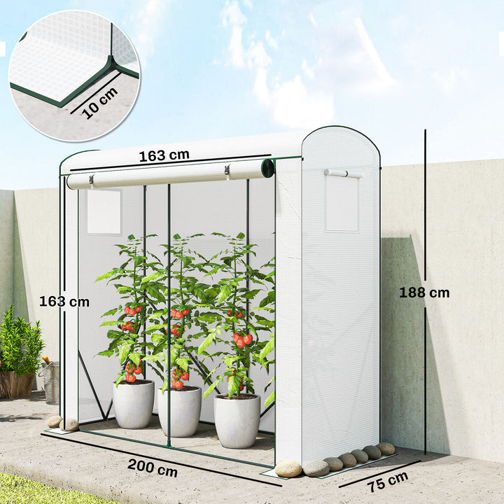 Mini Greenhouse, Garden Tomato Growhouse with Roll-Up Door and 2 Mesh 