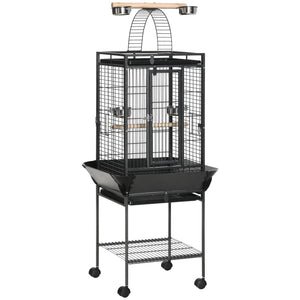 Bird Pet Supplies