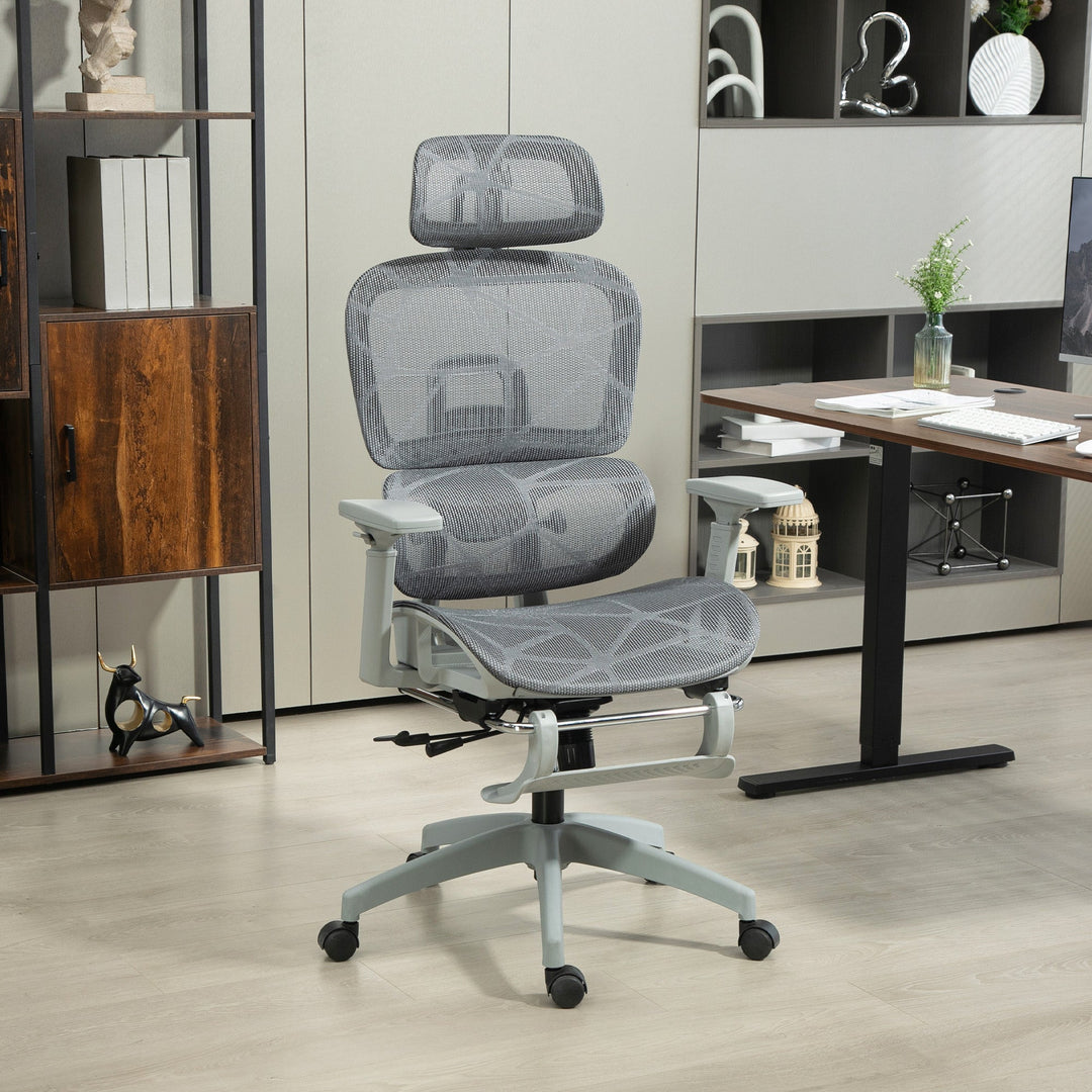 Multi-Adjustable Mesh Office Chair