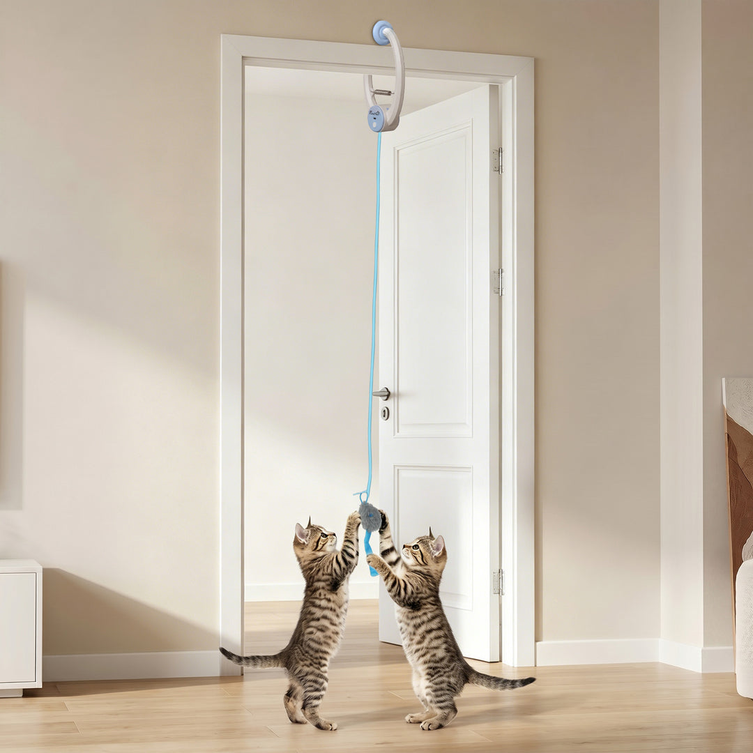 Interactive Cat Toys for Indoor Kittens &amp; Adult USB Rechargeable Door 