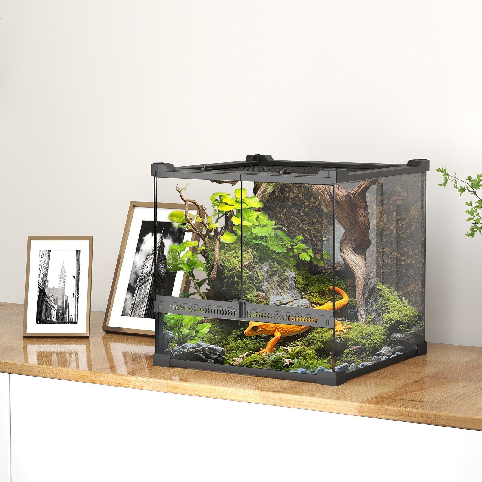 Reptile Glass Terrarium with Stone Background, Front Ventilation, Escape-Proof Knob Lock, 30 x 30 x 30 cm, Black