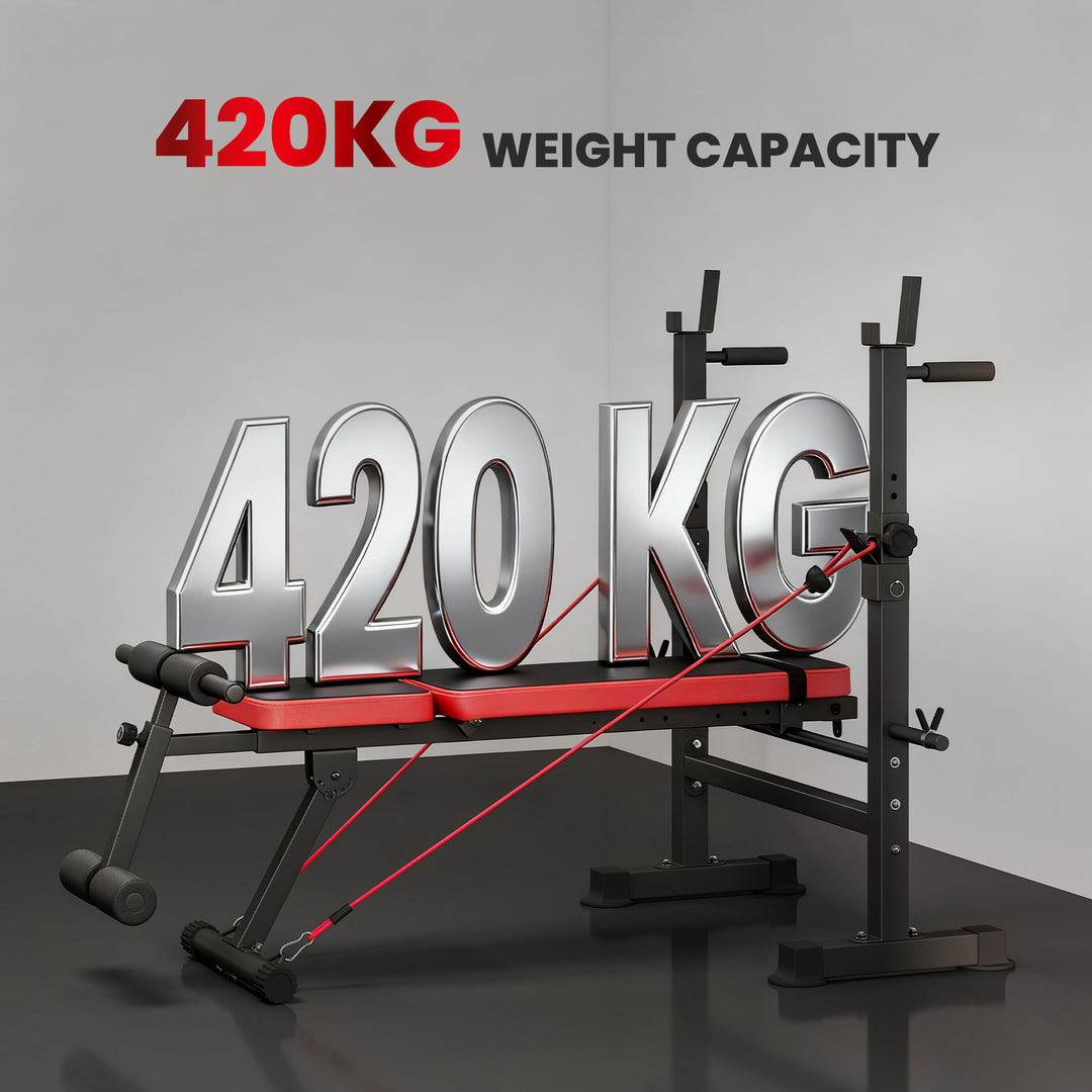 Adjustable Weight Bench with Squat Rack and Dip Stand