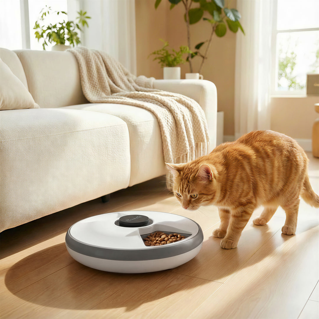 Automatic Cat Feeder Programmable Timer for Dry Wet Food Cat Food Disp