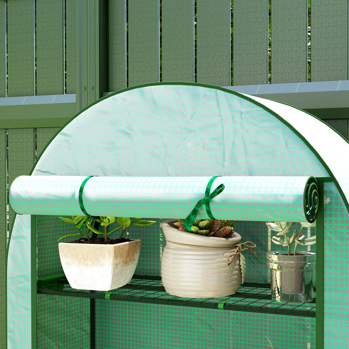 4 Tier Mini Greenhouse with Reinforced PE Cover, Portable Small Greenhouse with Roll-Up Door, 105 x 45 x 160cm, Green