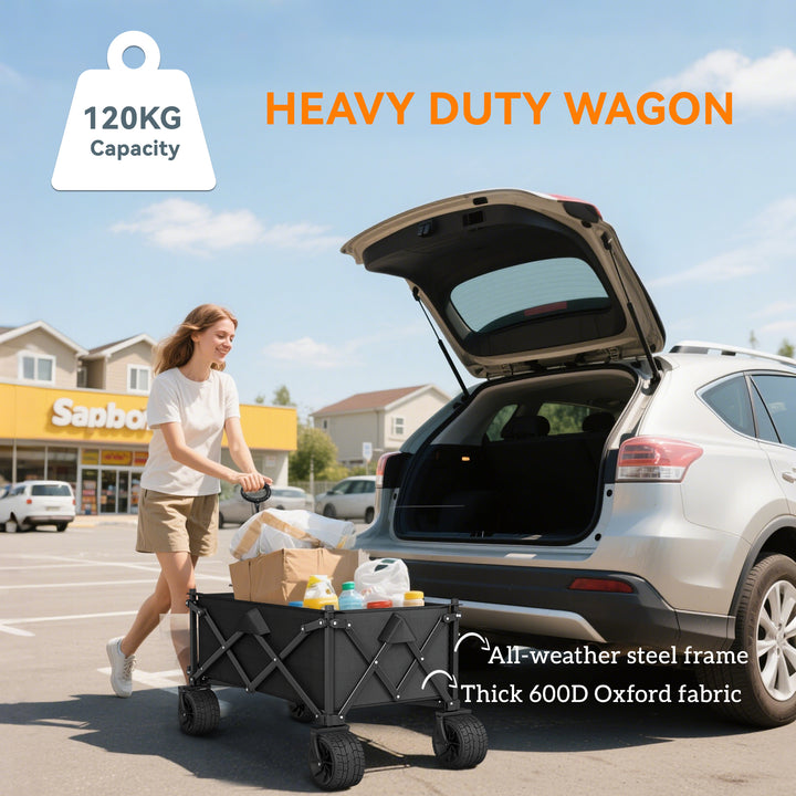 Folding Garden Trolley, Outdoor Wagon Cart with Carry Bag, for Beach, Camping, Festival, 120KG Capacity, Black