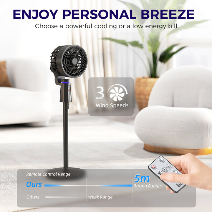 Pedestal Air Circulation Fan with Oscillating, Light Off, Black