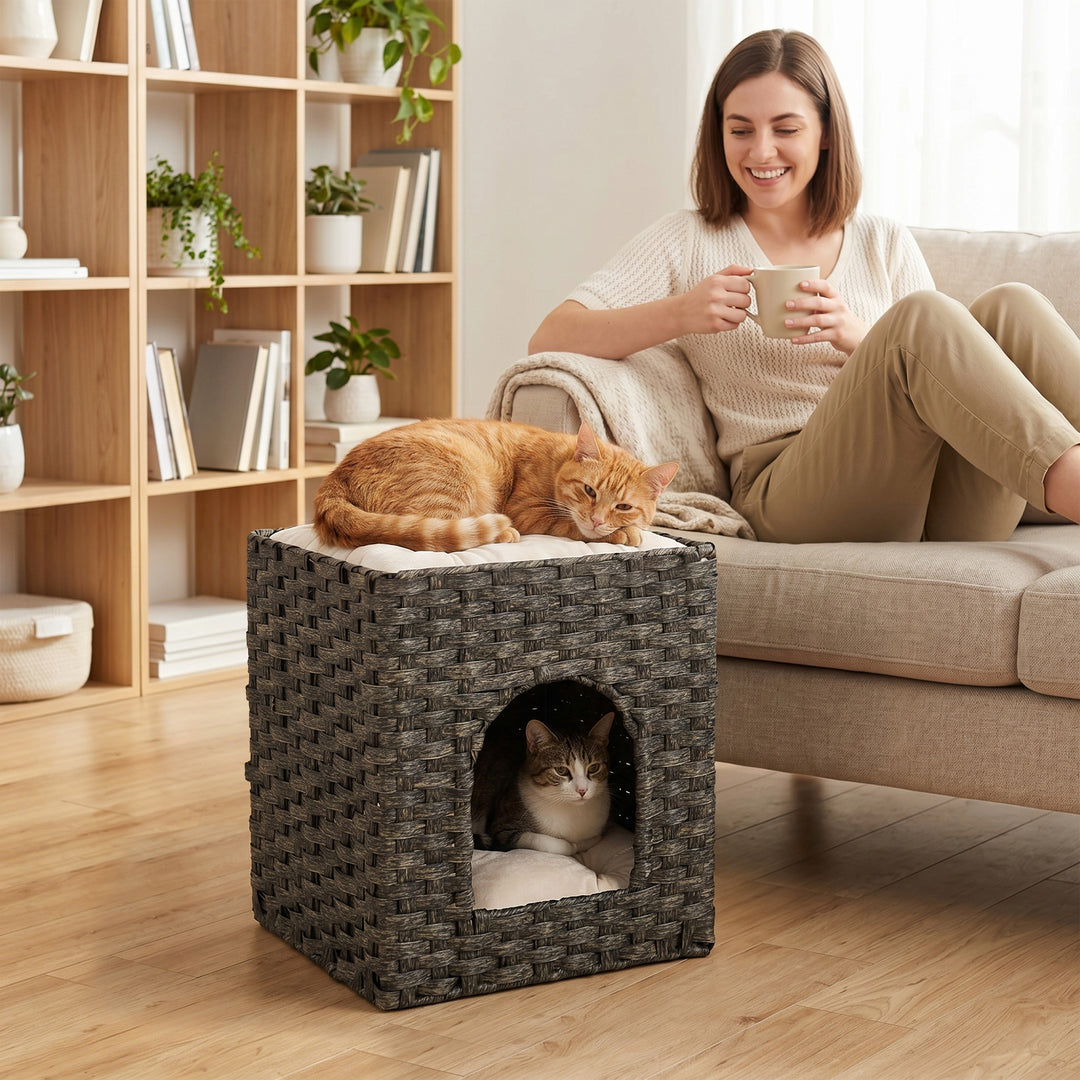 2-Tier Wicker Cat House, Handwoven Rattan Cat Bed with Washable Cushio