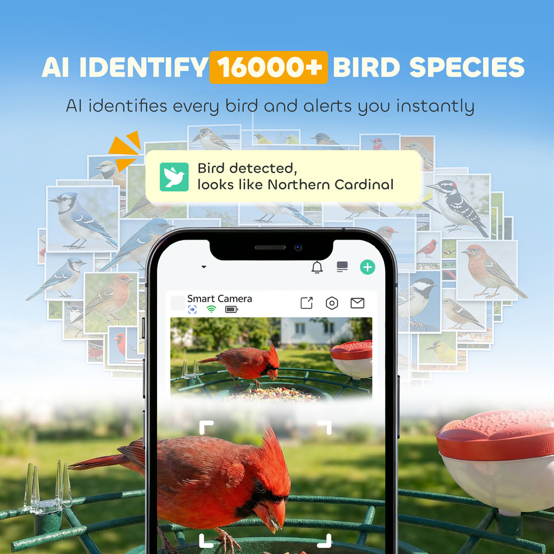 Smart Bird Feeder Camera 2K HD with AI Identifies 16,000+ Species, 2K HD Auto Capture Video, APP Instant Notifications