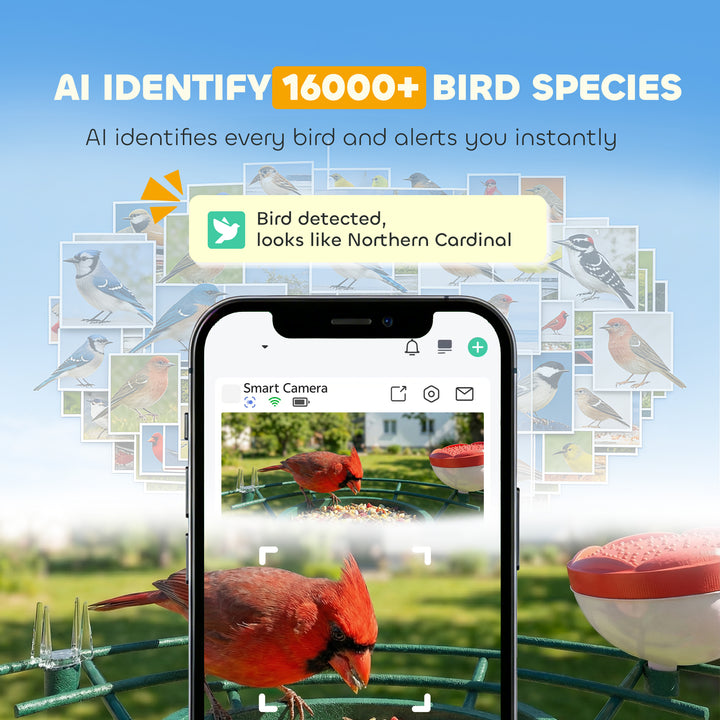 Smart Bird Feeder Camera 2K HD with AI Identifies 16,000+ Species, 2K HD Auto Capture Video, APP Instant Notifications