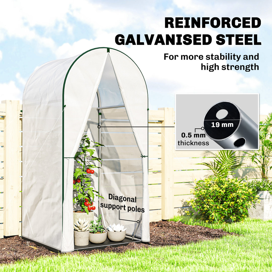 Mini Greenhouse, Portable Green House with Roll-Up Door, PE Base, Small Greenhouse, 100 x 100 x 195 cm